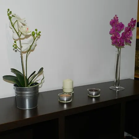 Apartaments Travessera-Parc Gueell Barcelone